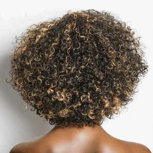 Shine Hair Wig 13x6 T Part Lace Classic Honey Blonde Highlight Bob Kinky Curly